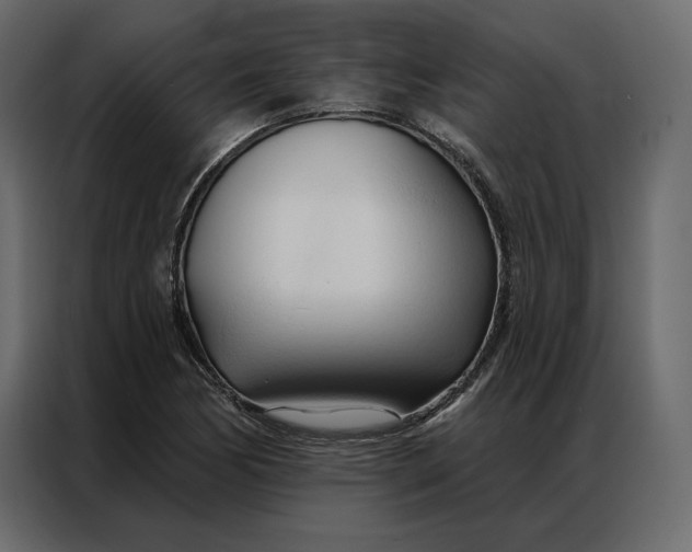 X0000086901170200705071237