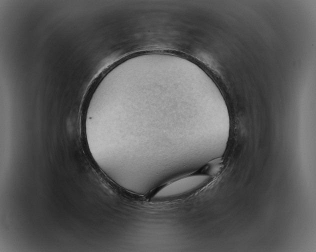 X0000086901173200705071237