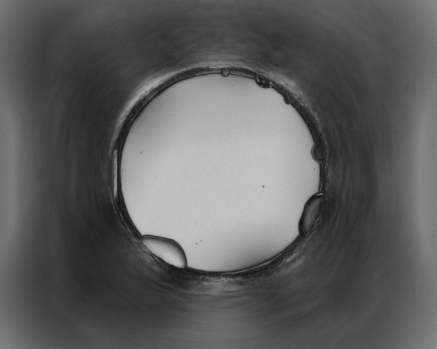 X0000086901175200705071237