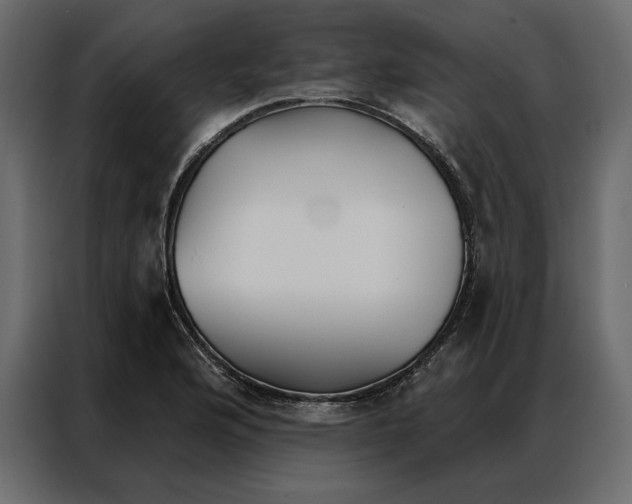 X0000086901176200705071237