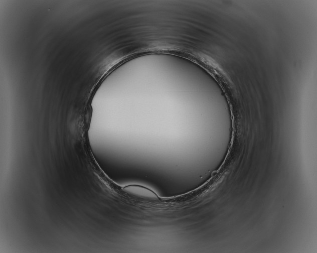 X0000086901177200705071237