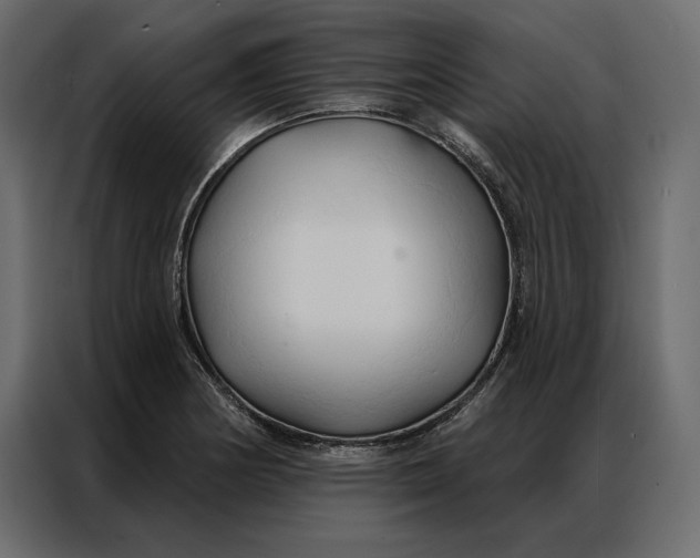 X0000086901178200705071237