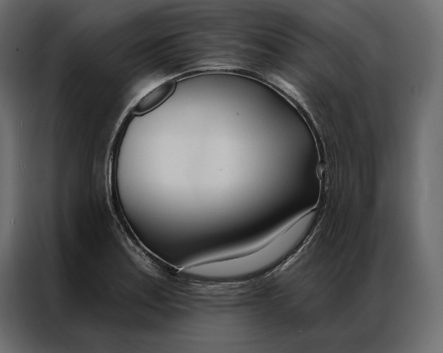 X0000086901179200705071237