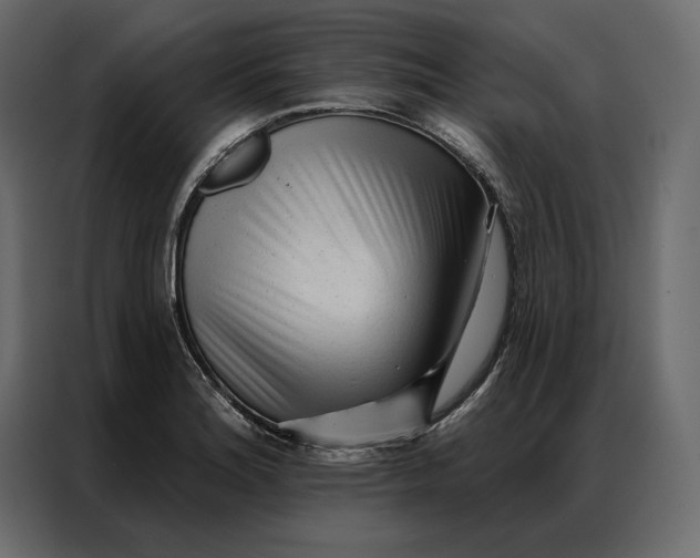 X0000086901180200705071237