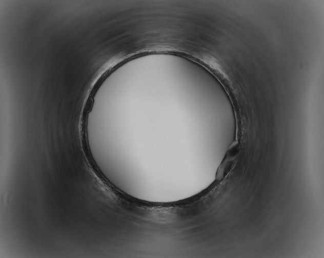 X0000086901181200705071237