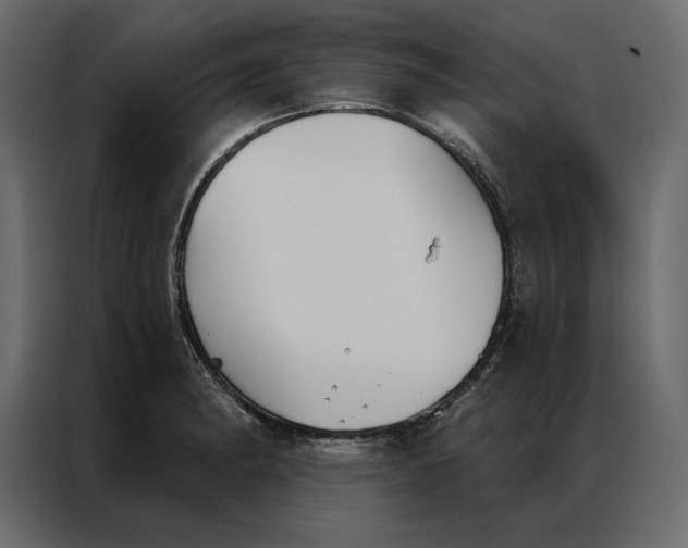 X0000086901182200705071237