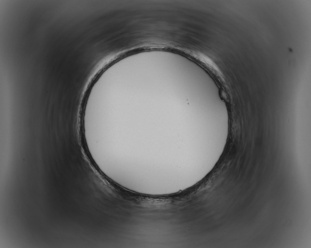 X0000086901183200705071237