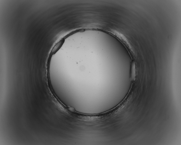 X0000086901184200705071237