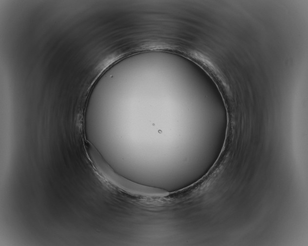 X0000086901185200705071237