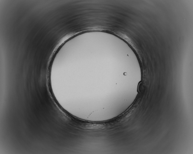 X0000086901187200705071237