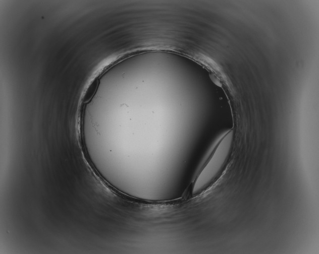 X0000086901188200705071237