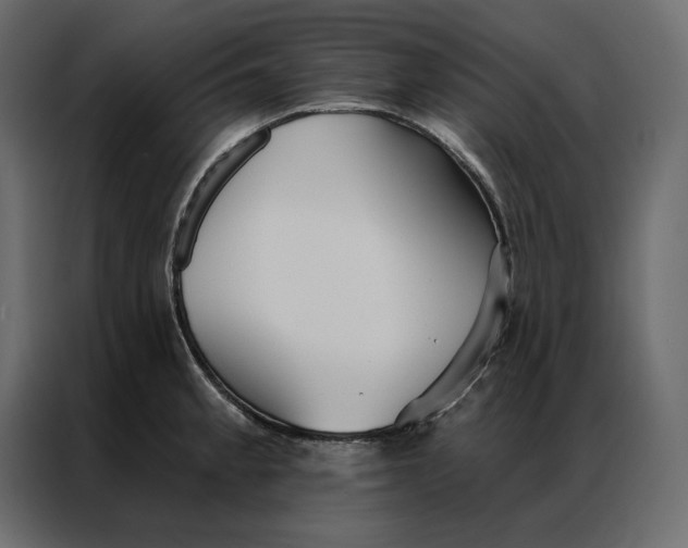 X0000086901189200705071237