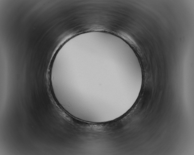 X0000086901190200705071237