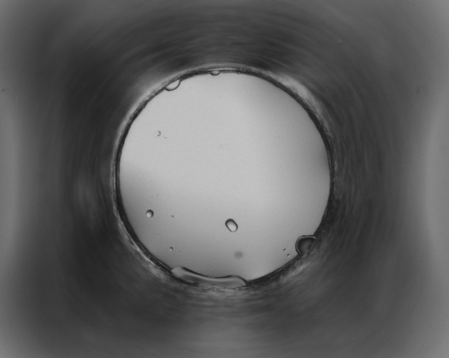 X0000086901191200705071237