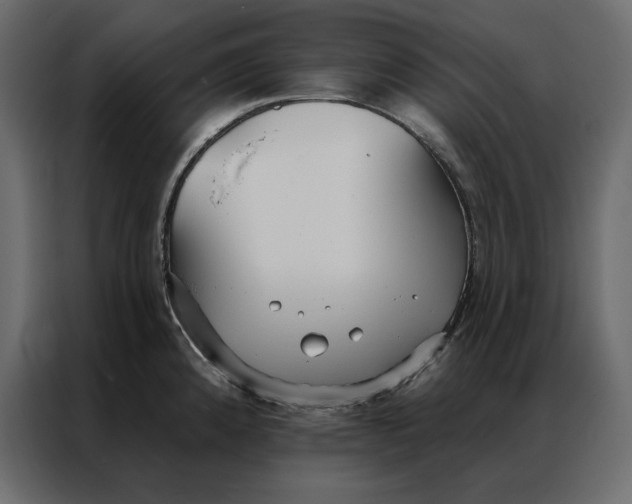 X0000086901192200705071237