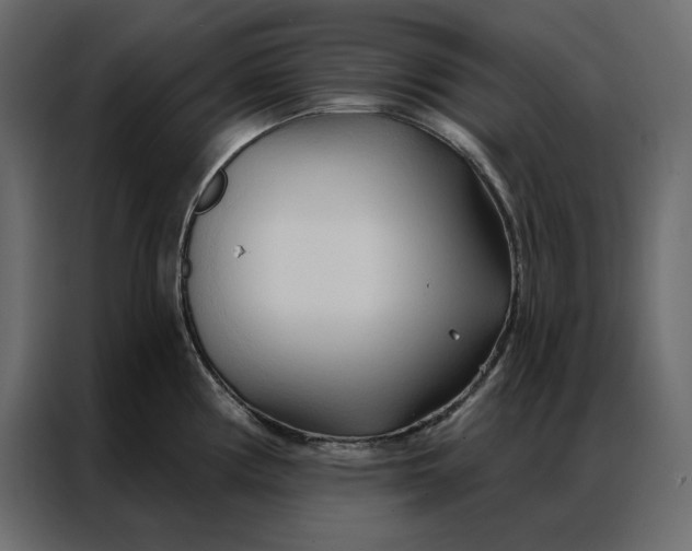 X0000086901194200705071237