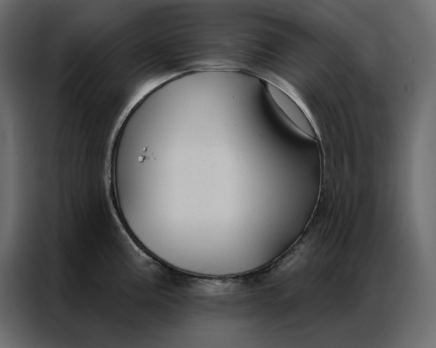 X0000086901195200705071237