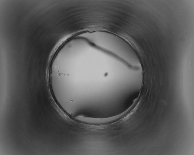 X0000086901196200705071237