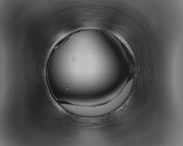 X0000086901197200705071237