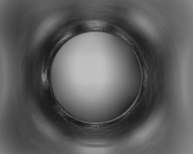 X0000086901198200705071237