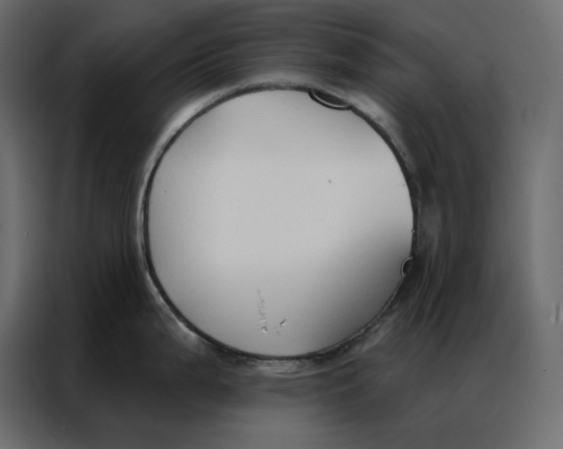 X0000086901199200705071237