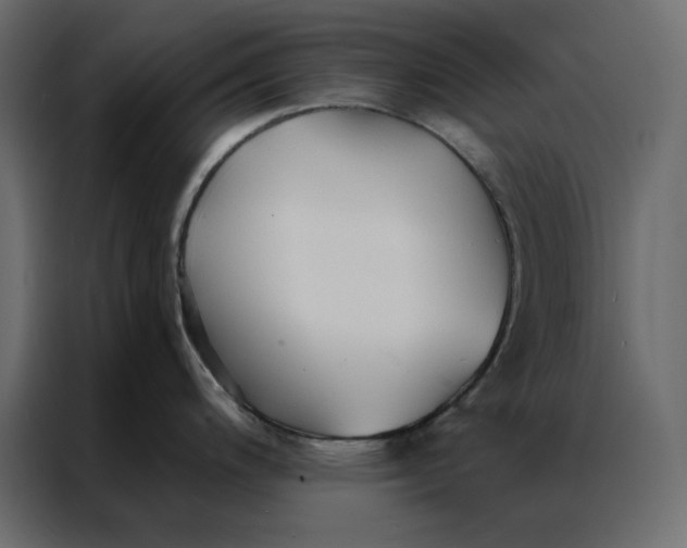 X0000086901200200705071237