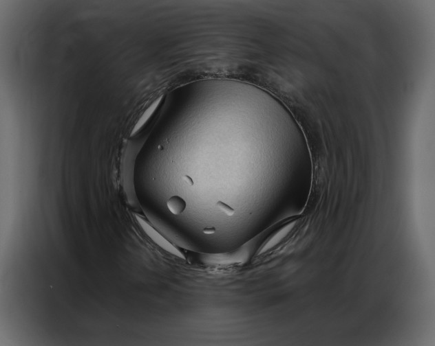 X0000086901202200705071236