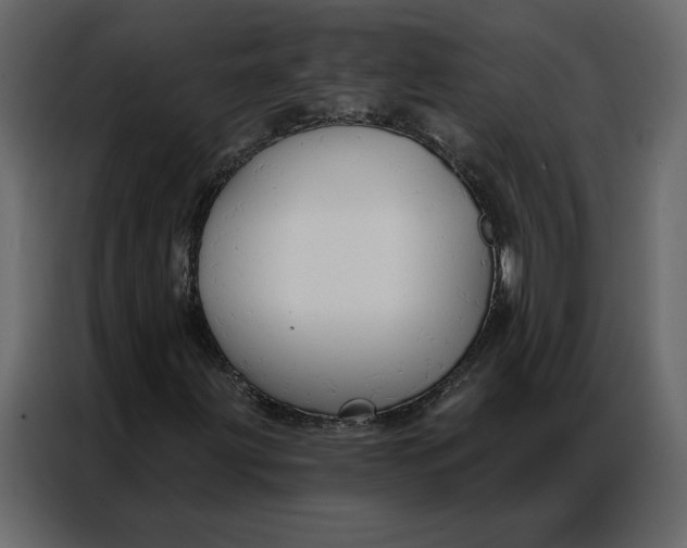 X0000086901203200705071236