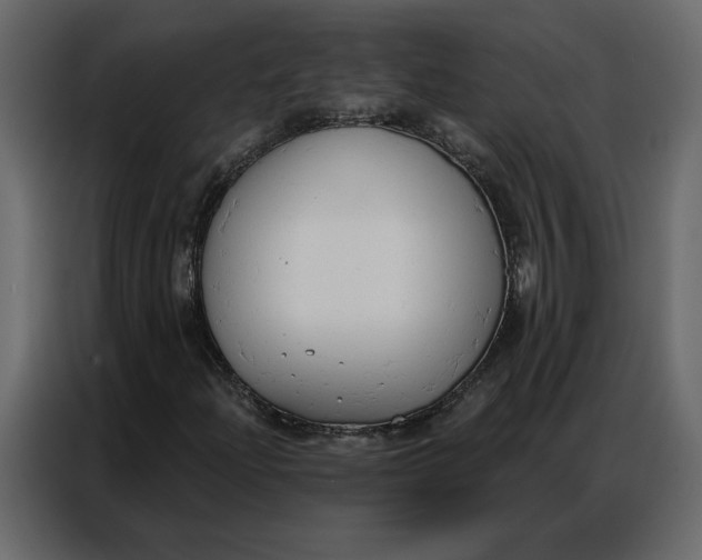 X0000086901204200705071236