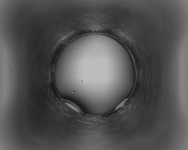 X0000086901205200705071236