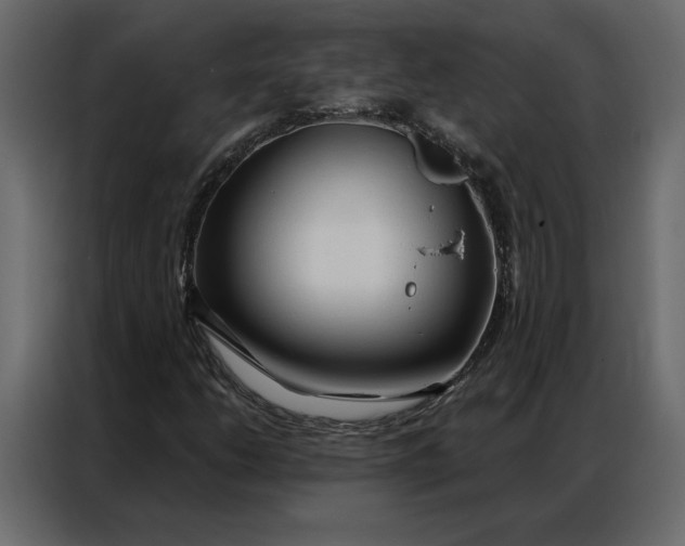 X0000086901206200705071236