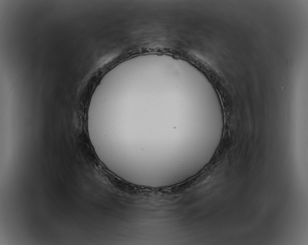 X0000086901207200705071236