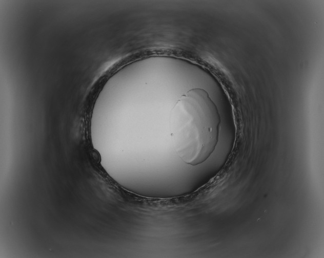 X0000086901208200705071236