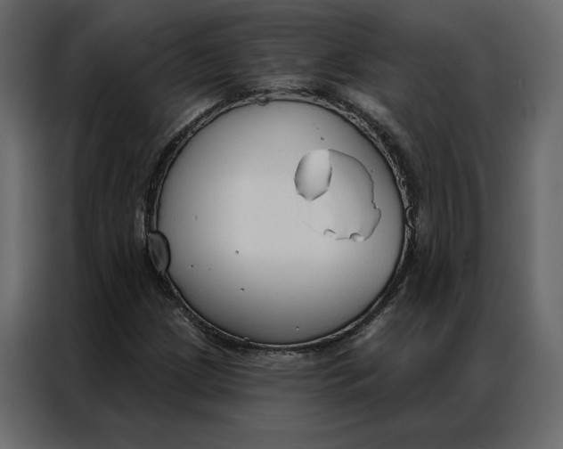 X0000086901209200705071236