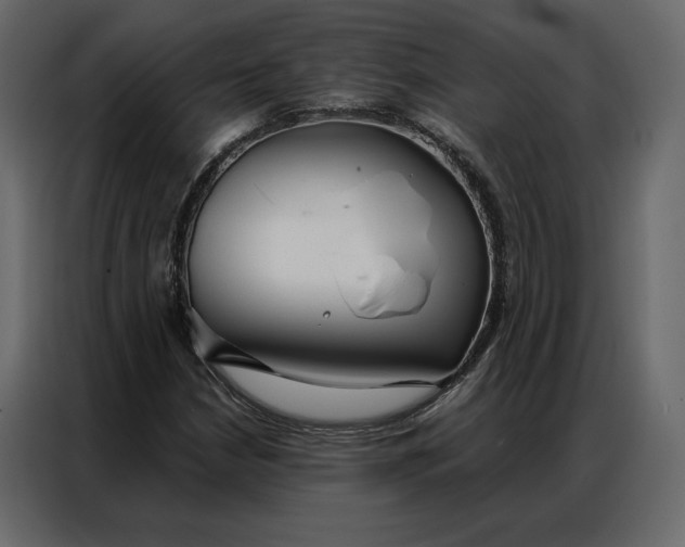 X0000086901210200705071236