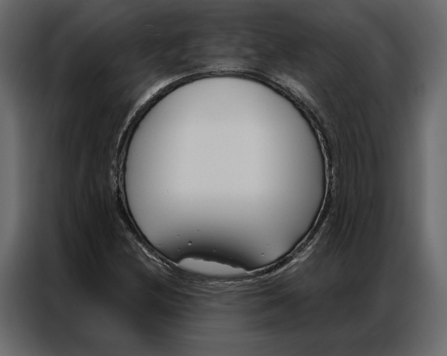 X0000086901212200705071236