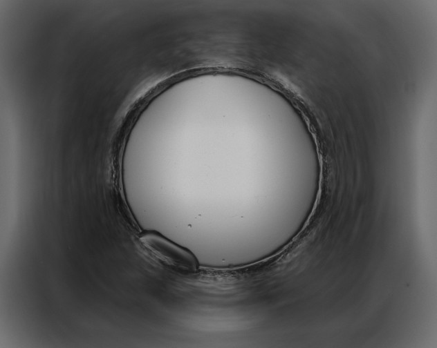 X0000086901215200705071236