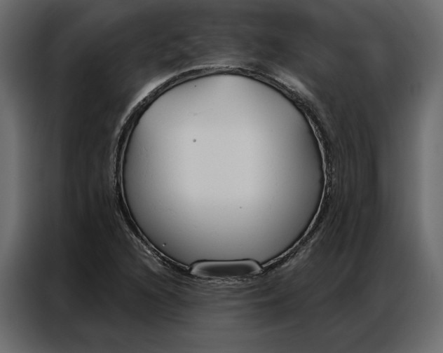 X0000086901216200705071236