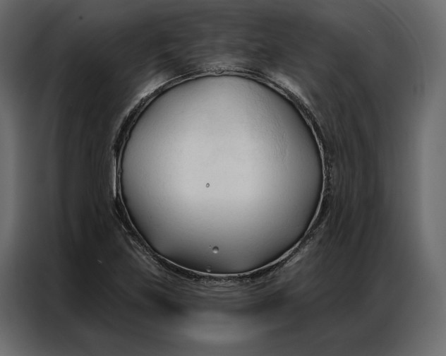 X0000086901219200705071236