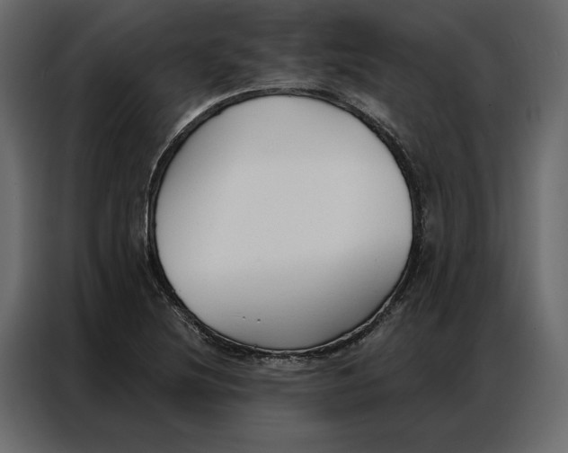 X0000086901220200705071236