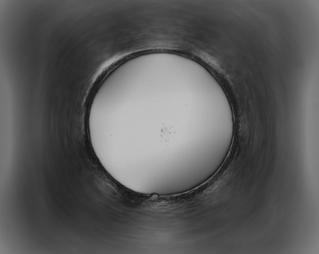 X0000086901222200705071237