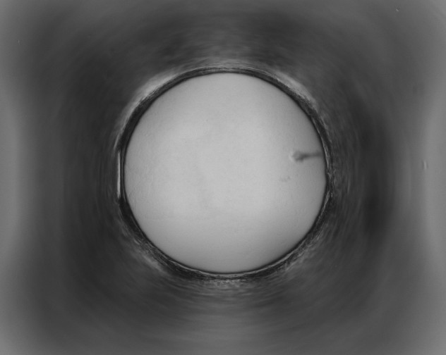 X0000086901223200705071237