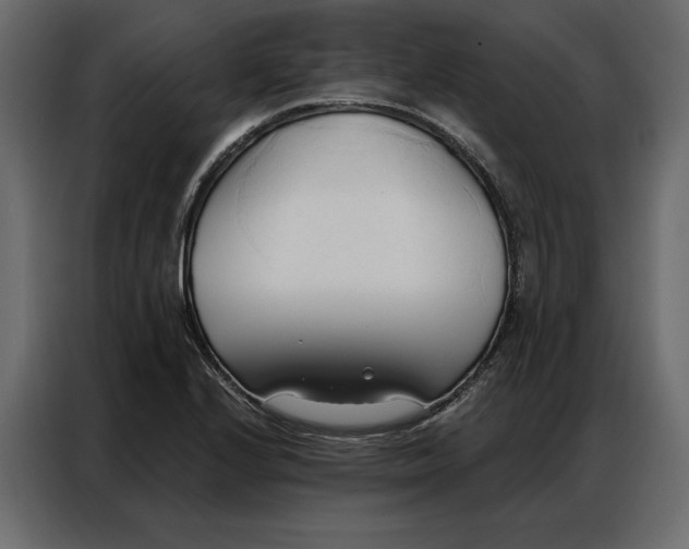 X0000086901224200705071237