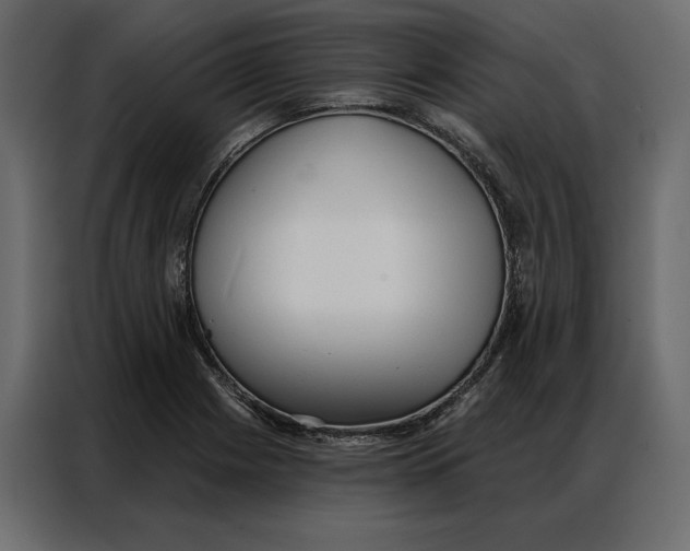 X0000086901225200705071237