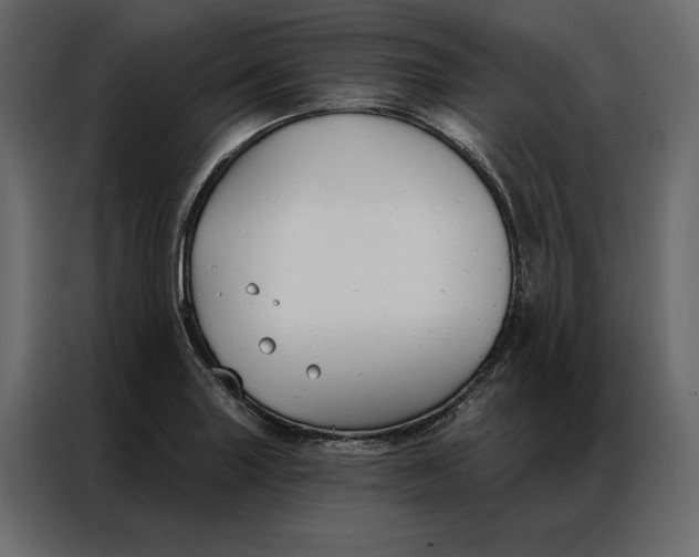 X0000086901227200705071237