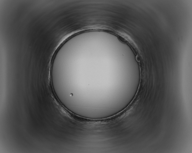 X0000086901228200705071237