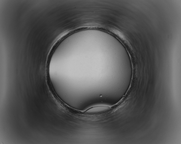 X0000086901229200705071237