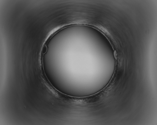 X0000086901230200705071237