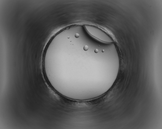 X0000086901231200705071237