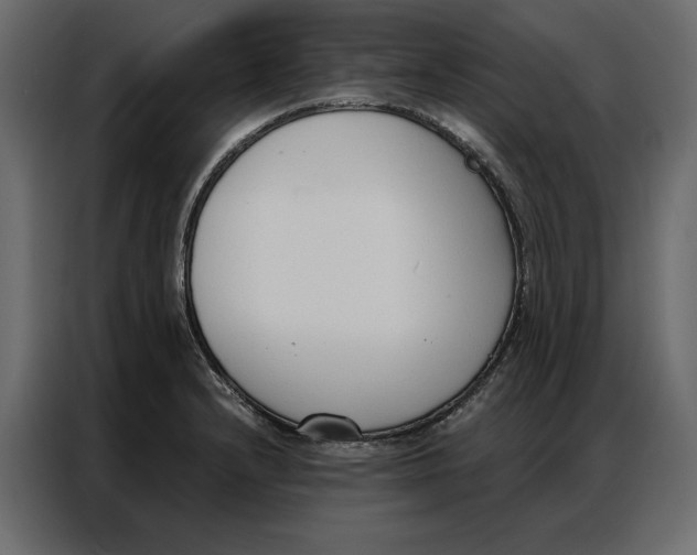 X0000086901232200705071237